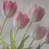 Click to view image