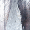 Click to view image