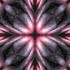 Click to view image