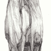 Click to view image