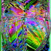 Click to view image