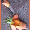 Click to view image