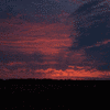 Click to view image