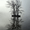 Click to view image