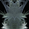 Click to view image