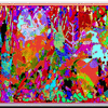 Click to view image