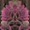 Click to view image