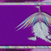 Click to view image