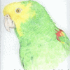 Click to view image