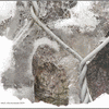 Click to view image