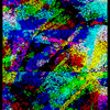 12-5-06b