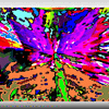Click to view image