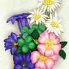 Click to view image