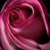 Click to view image
