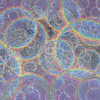 Click to view image