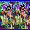 Click to view image
