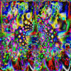 Click to view image