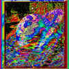 Click to view image