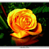 Click to view image