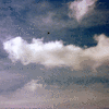 Click to view image