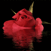 Click to view image
