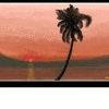 Click to view image