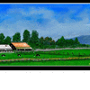 Click to view image