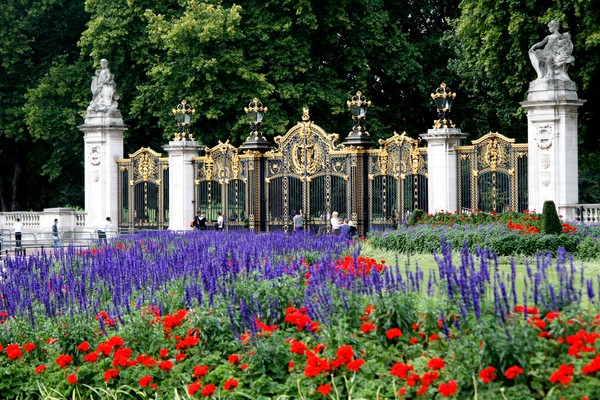 Buckingham Palace Flowers