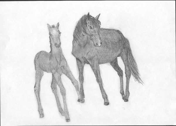 Mare and her foal