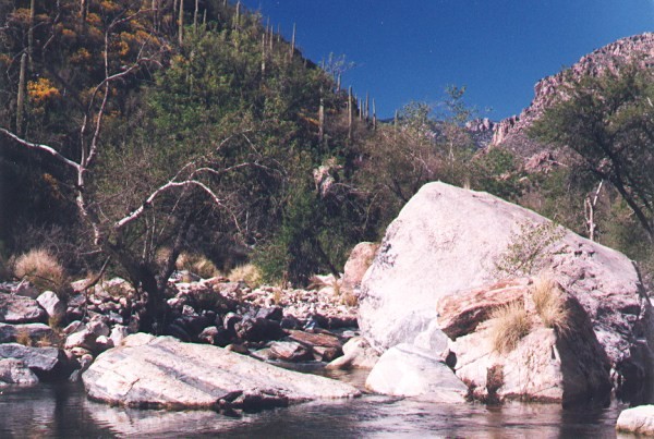 Sabino Canyon 2