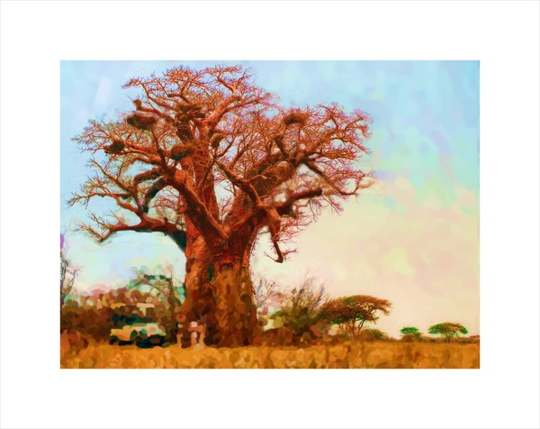 blixen-baobab