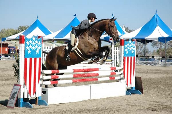 Portuguese Bend National Horse Show 1