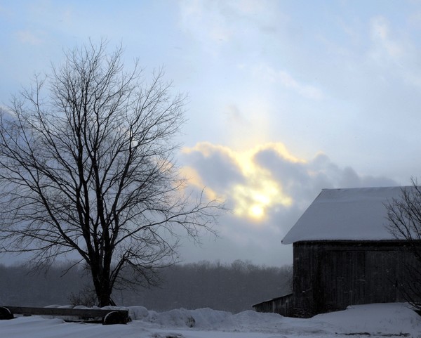 Sunset On The Farm