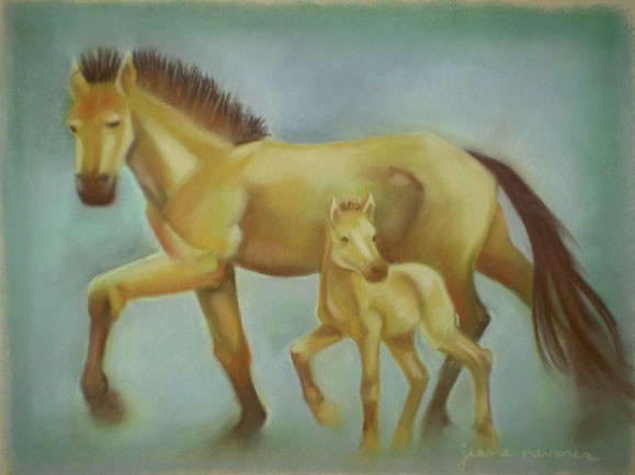 Mare & Foal