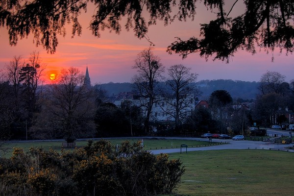 Leafy Lyndhurst