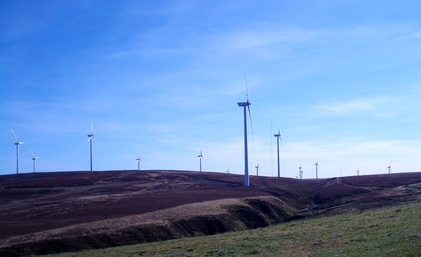 Windfarm
