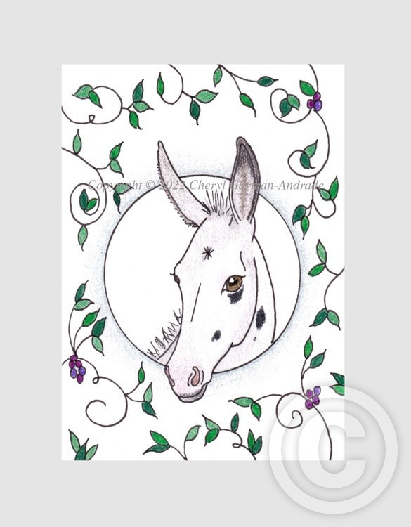 White Donkey Whimsical Illustration