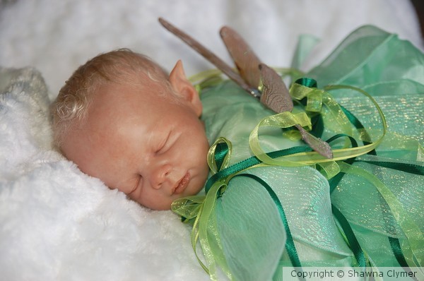 NEW fairy baby by Shawna Clymer