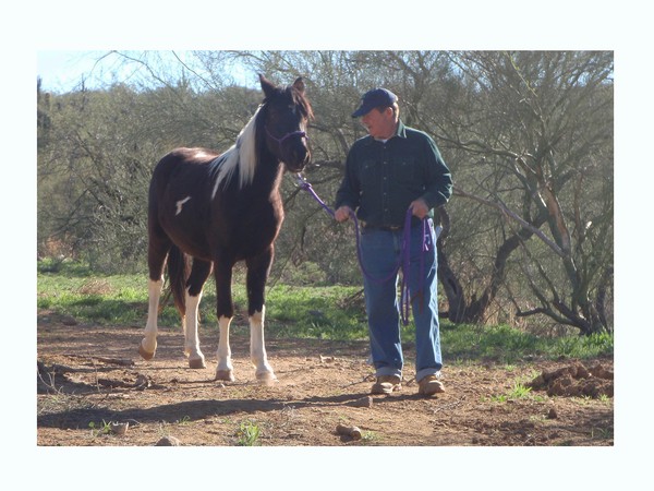 horse whisperer...