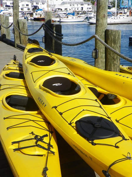 camden kayaks