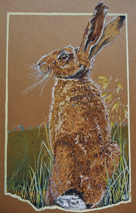 The Hare