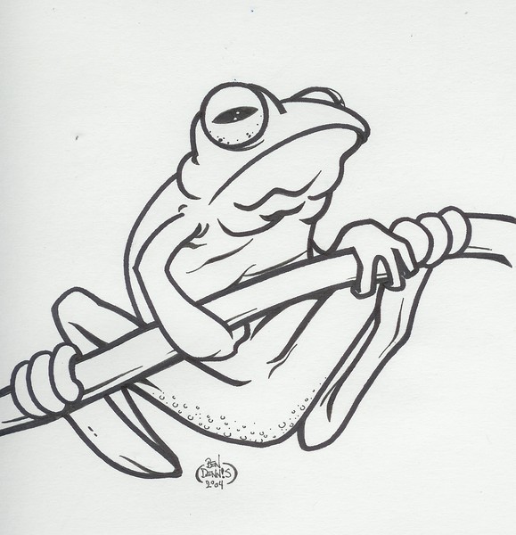Frog On A Branch