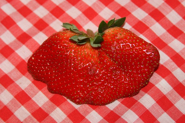 Very Strange Strawberry