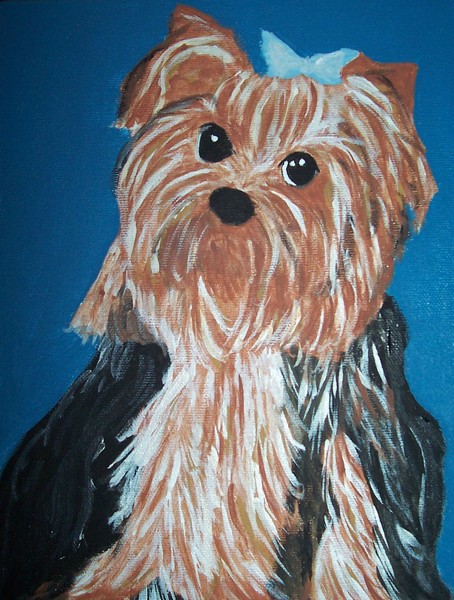 adorable yorkshire terrier 