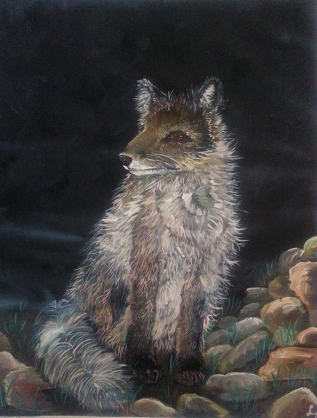 The watchful fox