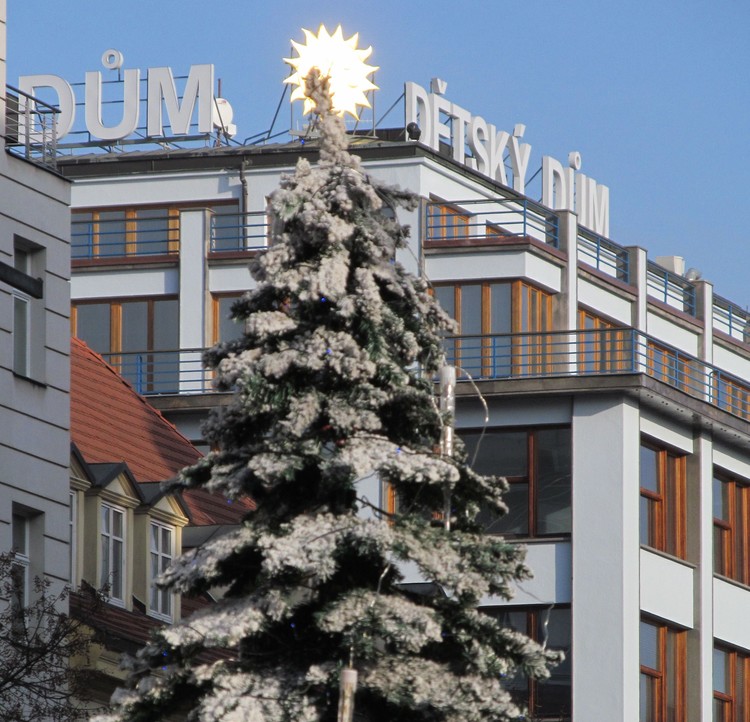 Christmas Tree Near My Grandparents' Home