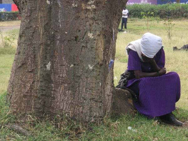 The Weeping Tree, Kenya