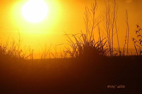 Sunset over Barassie