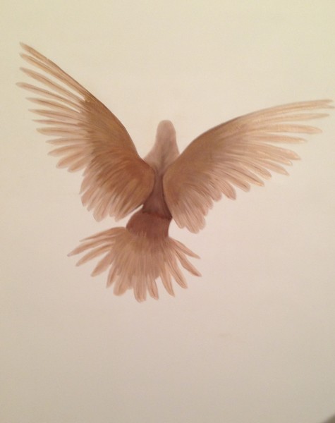 Dove Taking Flight