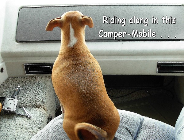 Riding Along In This Camper+Mobile . . .